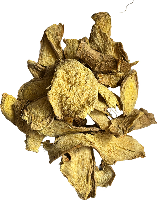 GINGER