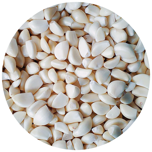GARLIC