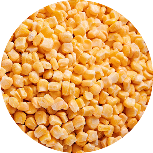 SWEET CORN