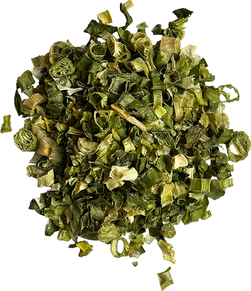 SCALLION